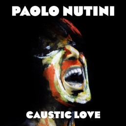 paolo nutini caustic love album art